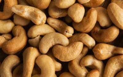 Commercial Uses of Cashew & its products