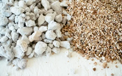 Perlite vs. Vermiculite: What’s the Difference? (& How to Use Each)