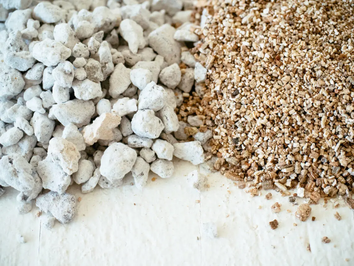 Perlite vs Vermiculite